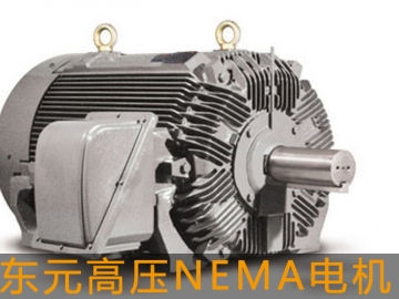 東元高壓電機NEMA電機