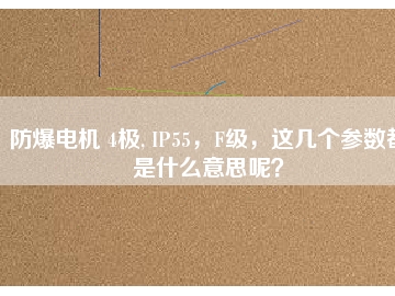 防爆電機(jī) 4極, IP55，F(xiàn)級，這幾個(gè)參數(shù)都是什么意思呢？