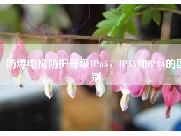 防爆電機(jī)防護(hù)等級(jí)IP65，IP55和IP54的區(qū)別