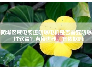 防爆區(qū)域電纜進(jìn)防爆電機(jī)是否需要防爆撓性軟管？直接進(jìn)線，有依據(jù)嗎
