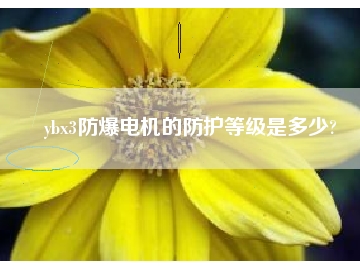 ybx3防爆電機(jī)的防護(hù)等級(jí)是多少?