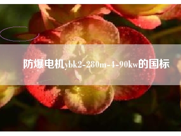 防爆電機(jī)ybk2-280m-4-90kw的國(guó)標(biāo)