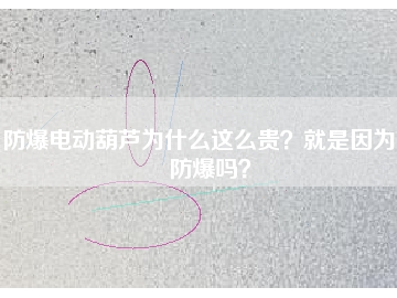 防爆電動(dòng)葫蘆為什么這么貴？就是因?yàn)槟芊辣瑔幔?></div>
                            <div   id=