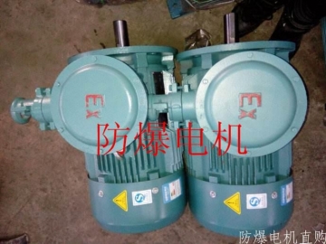 防爆電機(jī)分類：防爆電機(jī)選型、參數(shù)、定義