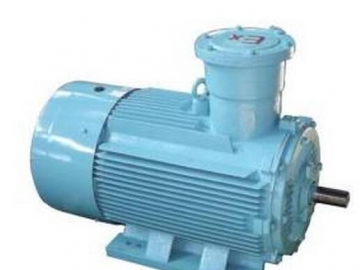 怎么選擇粉塵防爆電機(jī)