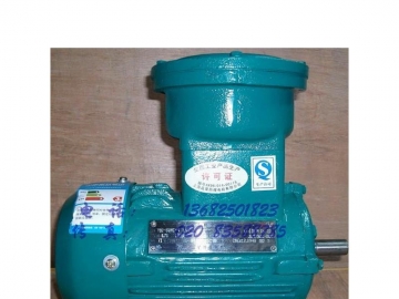 防爆電機(jī)價格主要由哪些因素決定