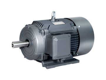 1TL0003鑄鐵系列三級能效低壓三相異步電動機