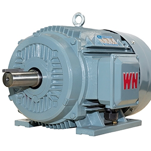 TYCP系列三相變頻驅(qū)動(dòng)永磁同步電動(dòng)機(jī)