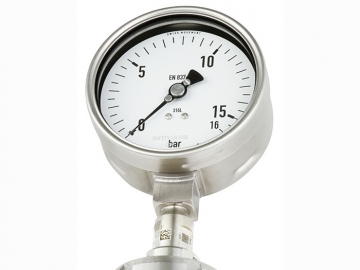 DSS19F符合EN837-1標(biāo)準(zhǔn)的壓力表，帶隔膜密封