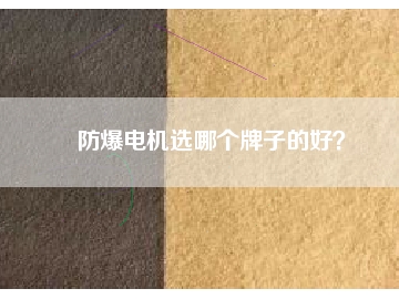 防爆電機(jī)選哪個(gè)牌子的好？