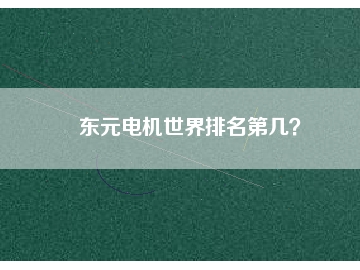東元電機(jī)世界排名第幾？