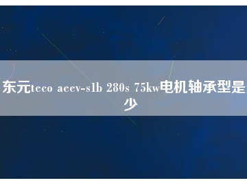 東元teco aeev-s1b 280s 75kw電機(jī)軸承型是多少