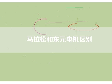 馬拉松和東元電機區(qū)別