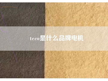 teco是什么品牌電機
