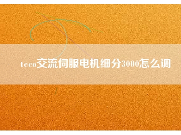 teco交流伺服電機細分3000怎么調