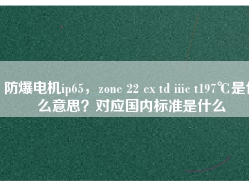 防爆電機ip65，zone 22 ex td iiic t197℃是什么意思？對應(yīng)國內(nèi)標準是什么