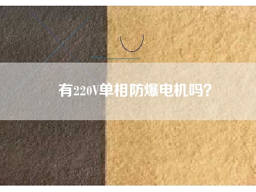 有220V單相防爆電機(jī)嗎？