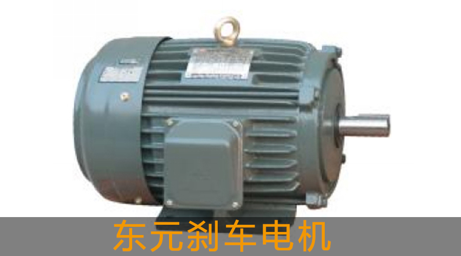 東元?jiǎng)x車電機(jī).jpg