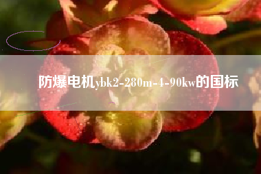 防爆電機(jī)ybk2-280m-4-90kw的國(guó)標(biāo)
