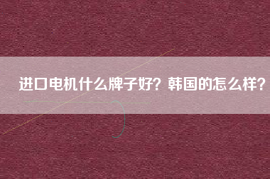 進(jìn)口電機(jī)什么牌子好？韓國的怎么樣？