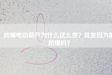 防爆電動葫蘆為什么這么貴？就是因為能防爆嗎？