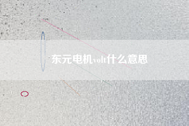 東元電機volt什么意思