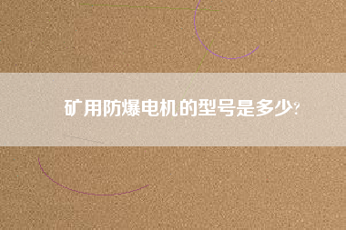 礦用防爆電機(jī)的型號是多少?