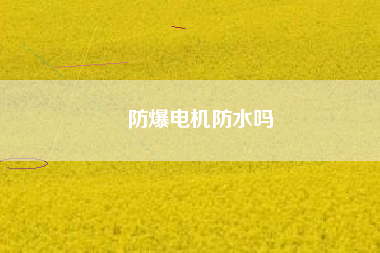 防爆電機防水嗎