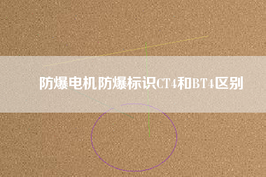 防爆電機(jī)防爆標(biāo)識CT4和BT4區(qū)別